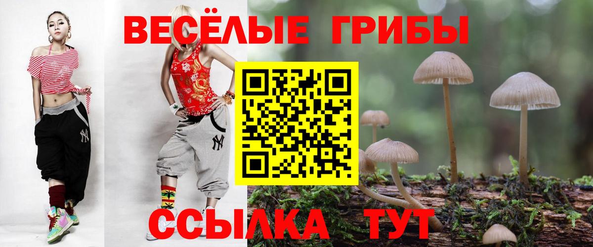 Кызыл  Галлюциногенные грибы Cubensis  Псилоцибиновые грибы GOLDEN TEACHER  Вход с VPN 